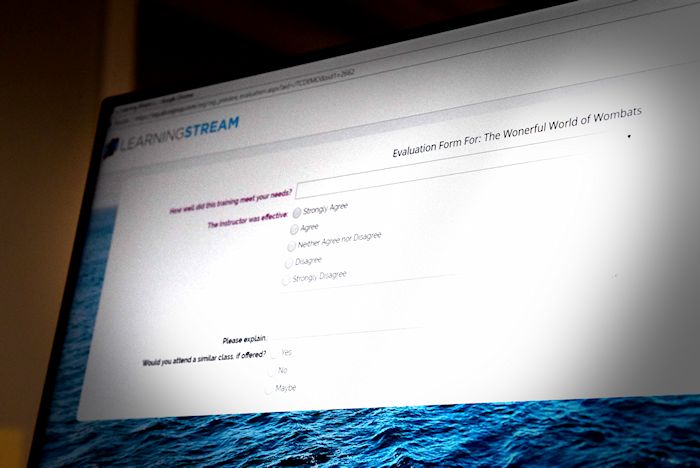 Desktop computer screen showing a form for online evaluations. 