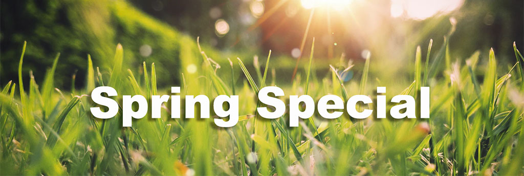 Spring Special