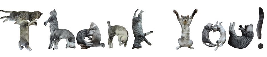 Thank-You-in-cat-font Thank You