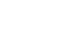 University of New Haven logo